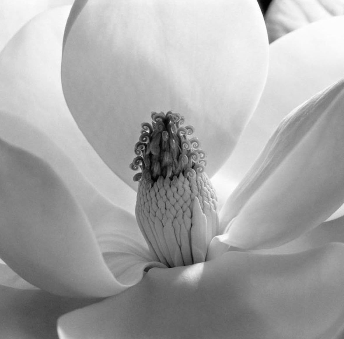 Inner Nourishment Meditation